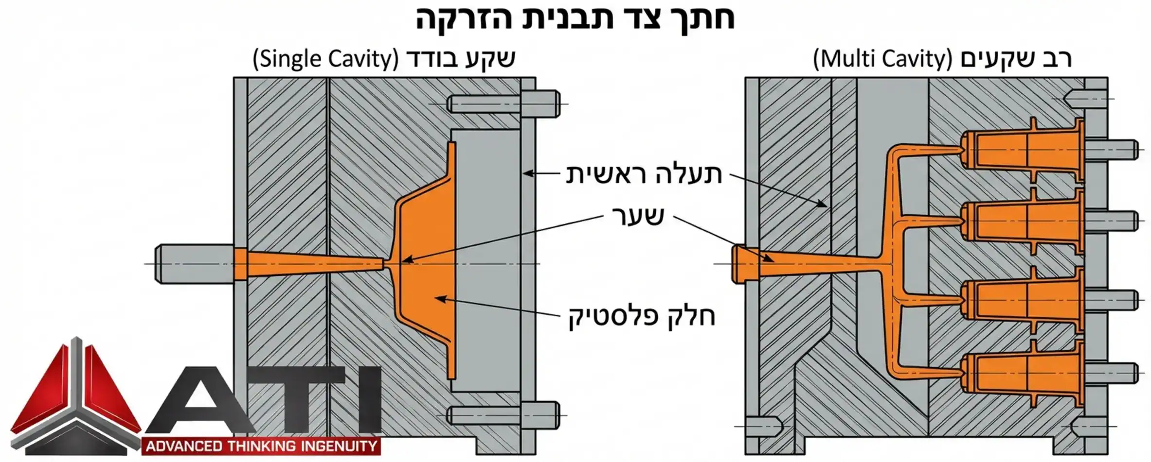 איור טכני ברור המציג חתך צד של שתי תבניות הזרקה: האחת עם שקע בודד (Single Cavity) המראה חלק אחד נוצר, והשנייה עם ארבעה שקעים (Multi Cavity) המראה ארבעה חלקים נוצרים במקביל מאותה תעלה ראשית. האיור צריך להיות נקי, עם צבעים המבדילים בין הפלסטיק למתכת התבנית